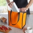 BOLSA TÉRMICA 12L